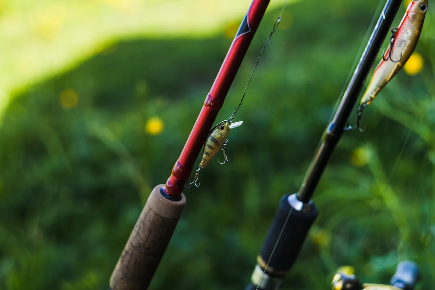 How to Choose the Perfect Fly Fishing Rod