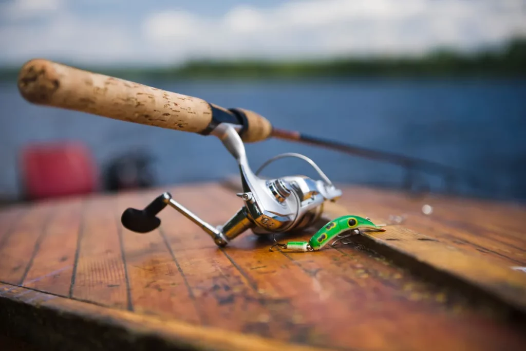 Top Fishing Gear Essentials for Beginners