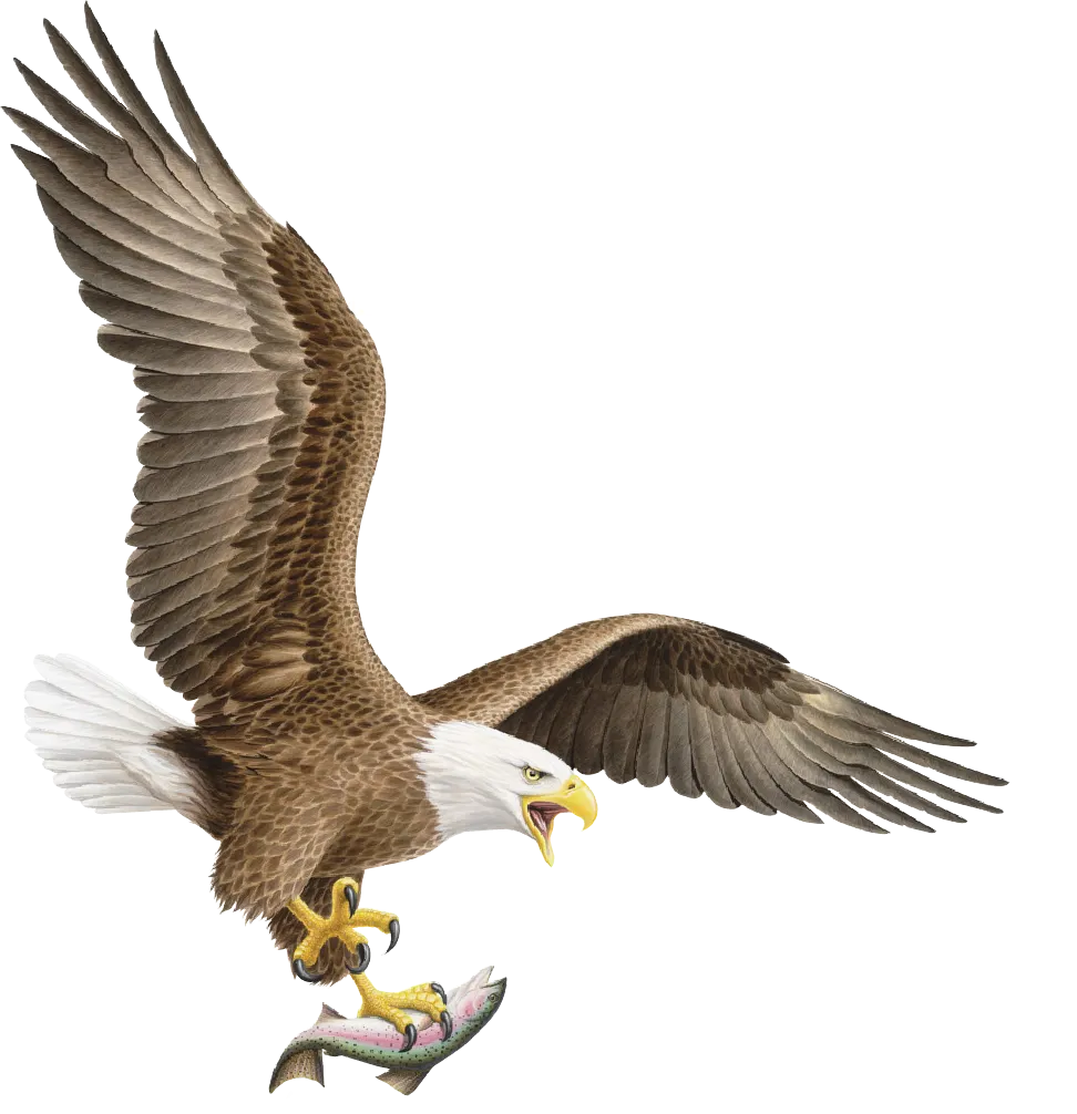 Eagle Claw Logo