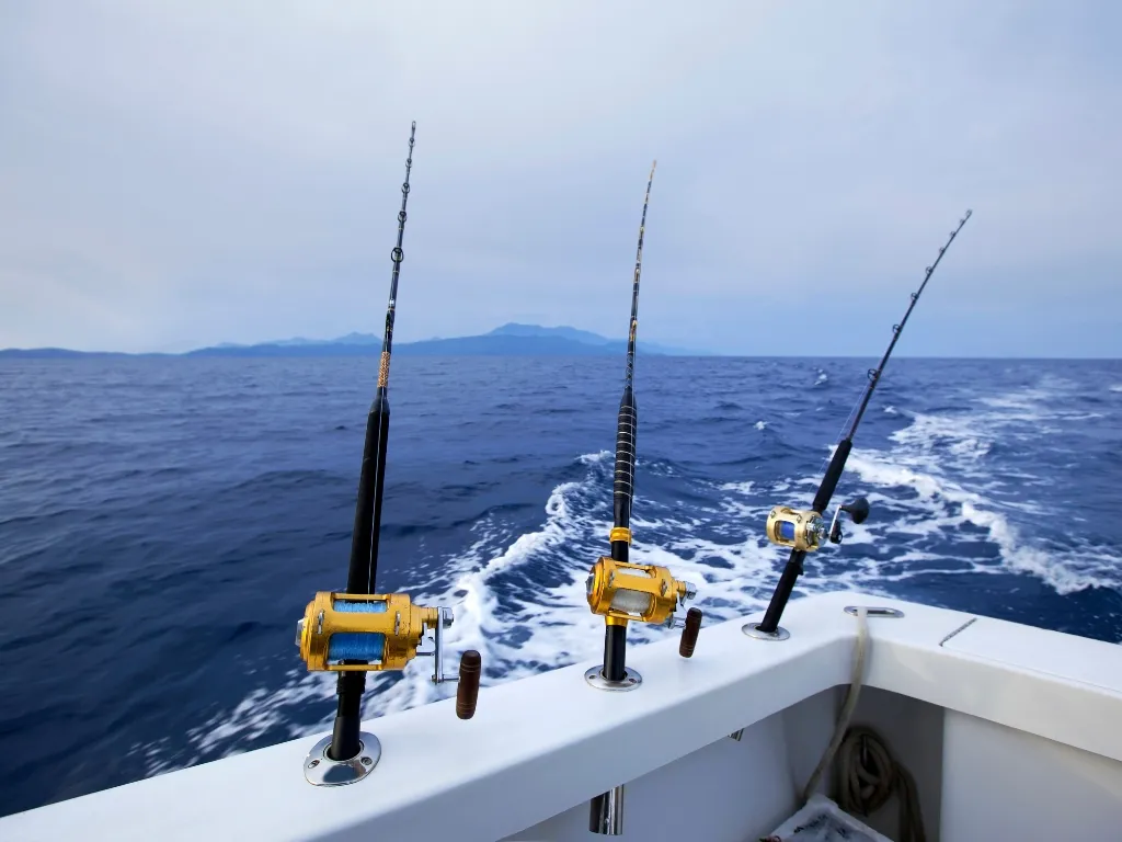 fishing store montreal