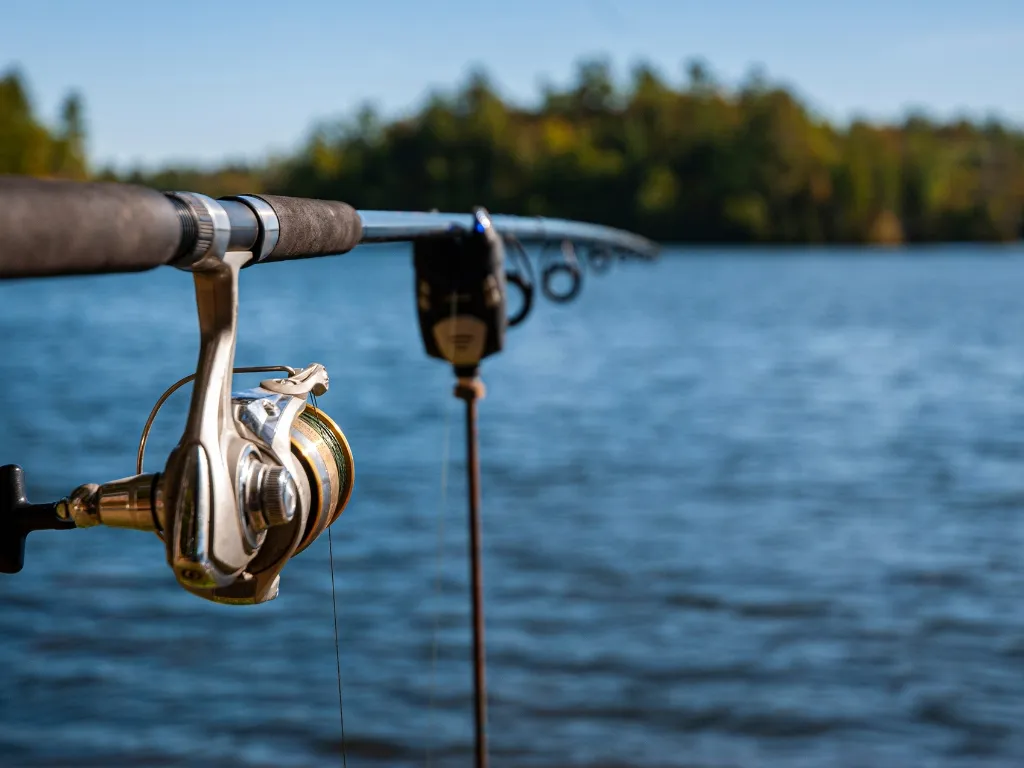 Fishing Reels