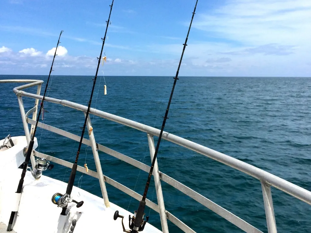 Fishing Rods