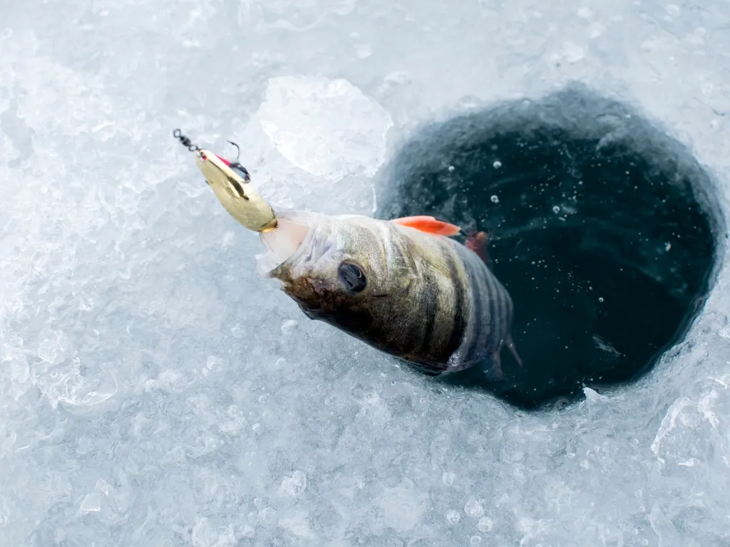 ice fishing gear